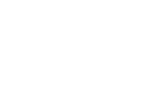 Seagate Development Group logo